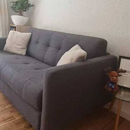 Renove Avec Charme 公寓 Leytron